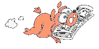 cochon